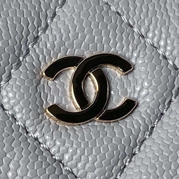 Chanel Satchel Bags